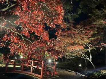 紅葉狩り｜「フラワーショップたなか」　（新潟県三条市の花キューピット加盟店 花屋）のブログ